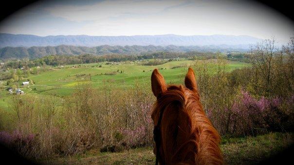 Charlie overlooking Holston Valley on one of our trails