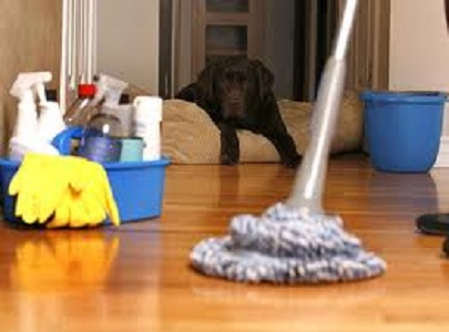 Cleaning Services Brooklyn