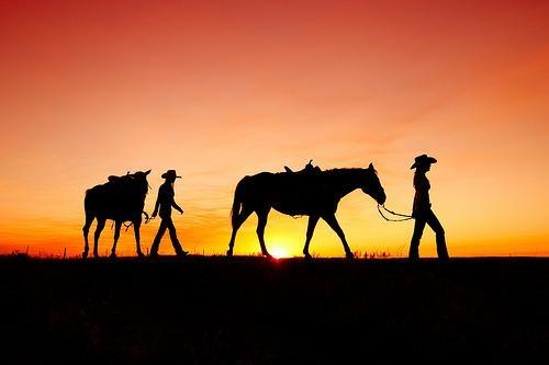 Leading their horses off to the barn on a ranch in Montana.