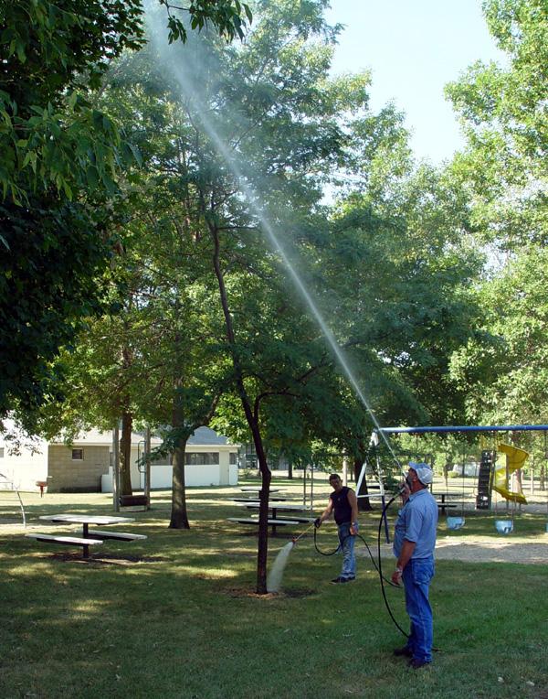 Tree Spraying