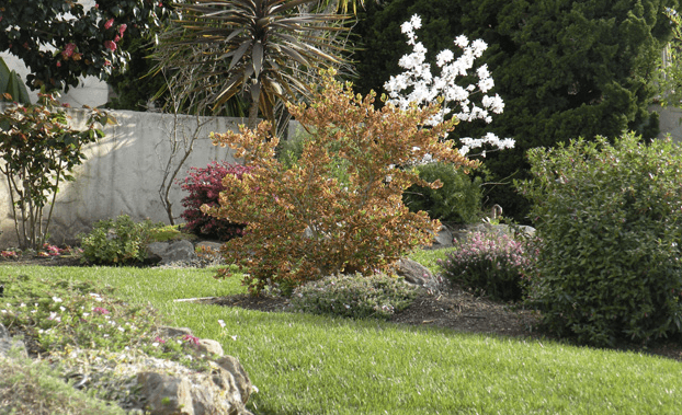 Landscape and Garden Maintenance