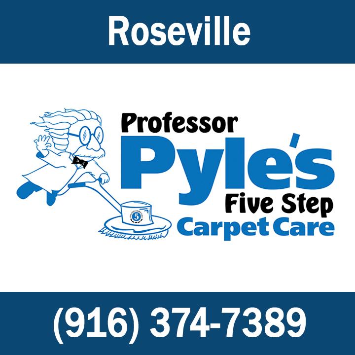 Carpet Cleaning Logo