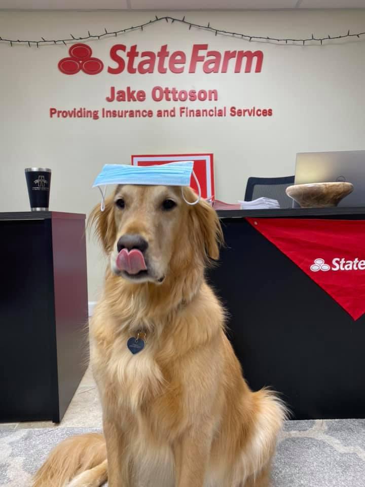 Jake Ottoson - State Farm Insurance Agent