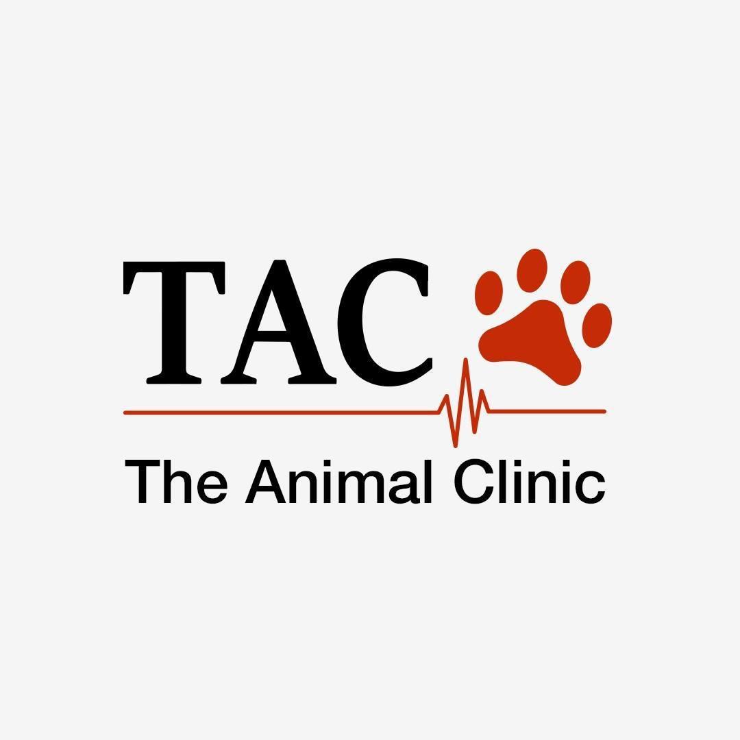 The Animal Clinic