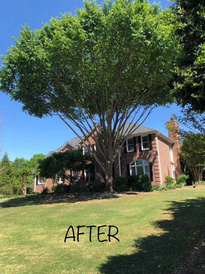 Tyndal Tree Service LLC