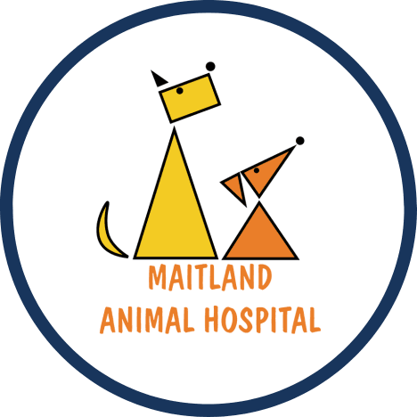 Maitland Animal Hospital