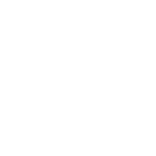 The Art of Dentistry