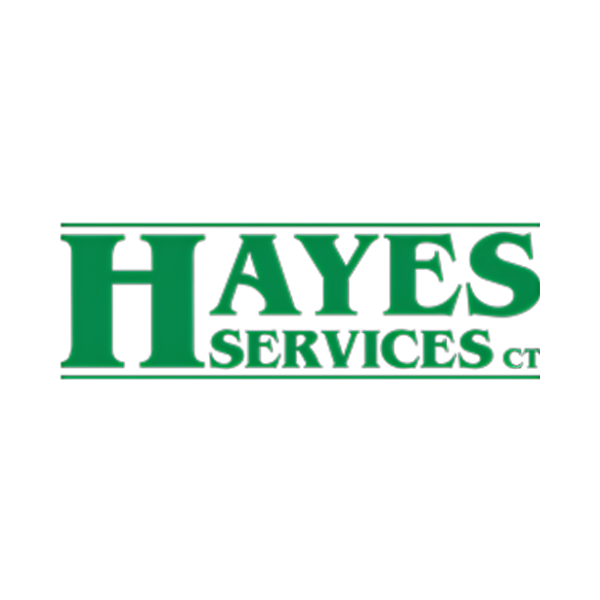 Hayes Services LLC