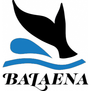 Balaena