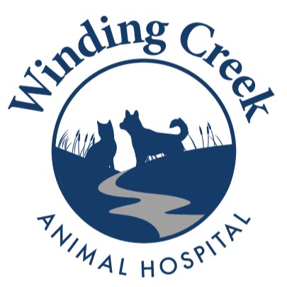 Winding Creek Animal Hospital