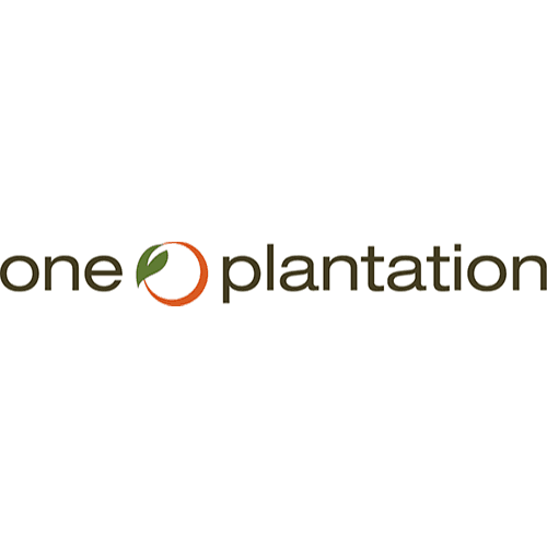 One Plantation Apartments