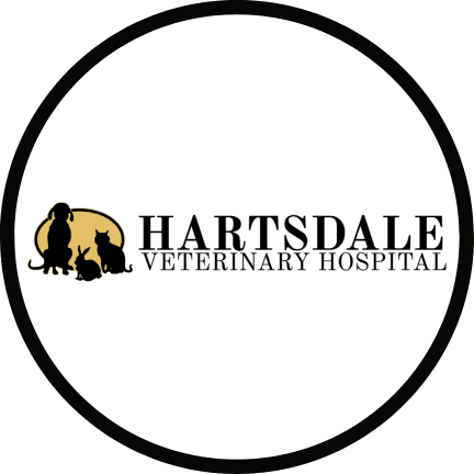 Hartsdale Veterinary Hospital