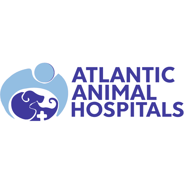 Atlantic Animal Hospital – Port Orange