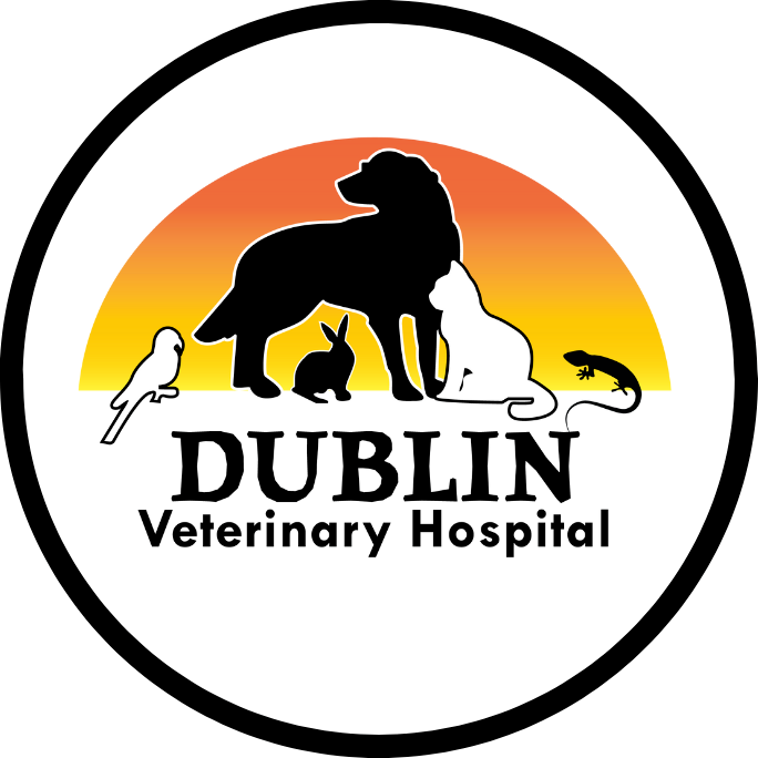 Dublin Veterinary Hospital