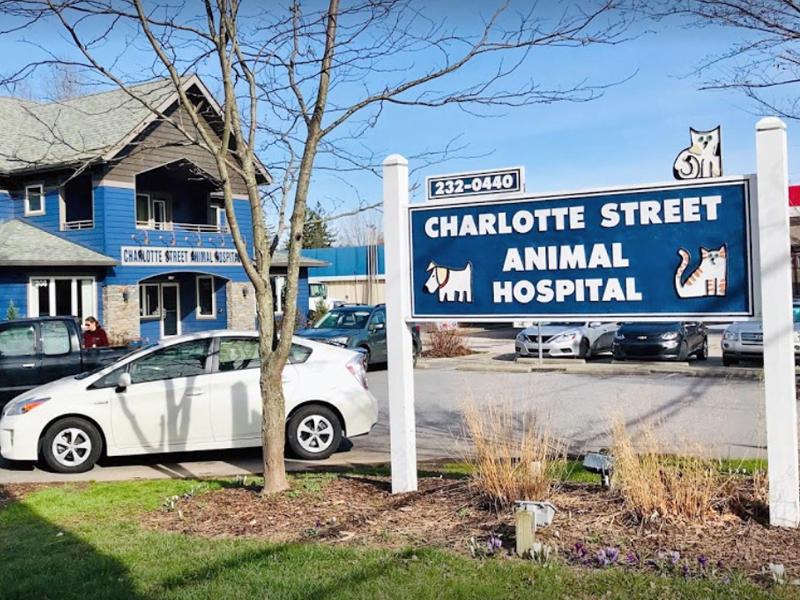 Charlotte Street Animal Hospital