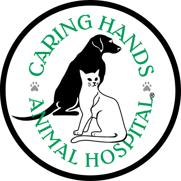 Caring Hands Animal Hospital - Ashburn