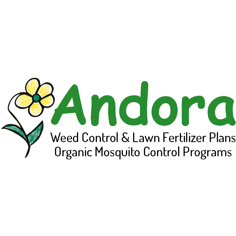 Andora Lawn Care