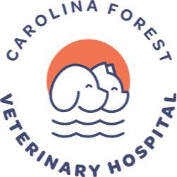 Carolina Forest Veterinary Hospital