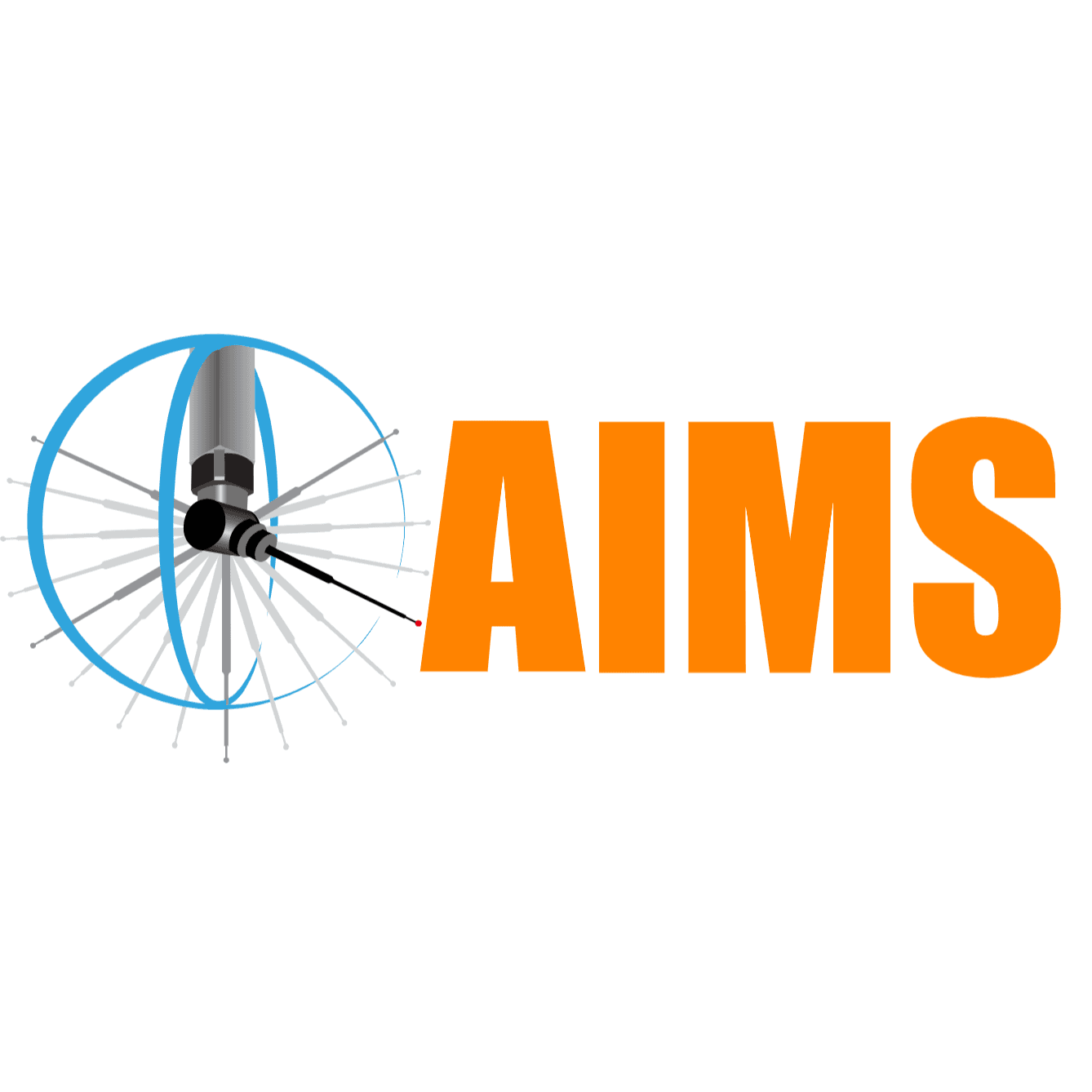 AIMS Metrology