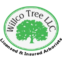 Willco Tree LLC