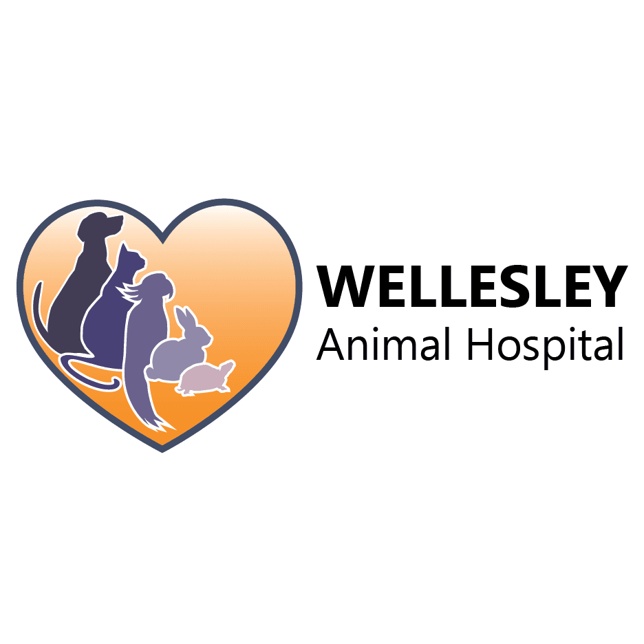 Wellesley Animal Hospital