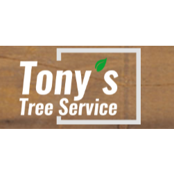 Tony's Tree Service