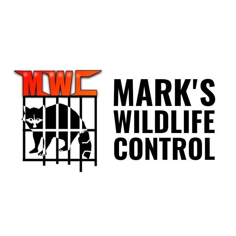 Mark's Wildlife Control