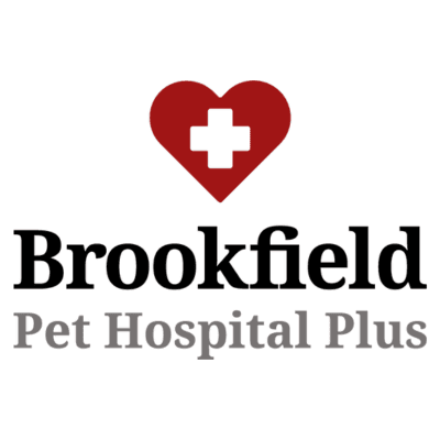 David Higginbotham - Brookfield Pet Hospital