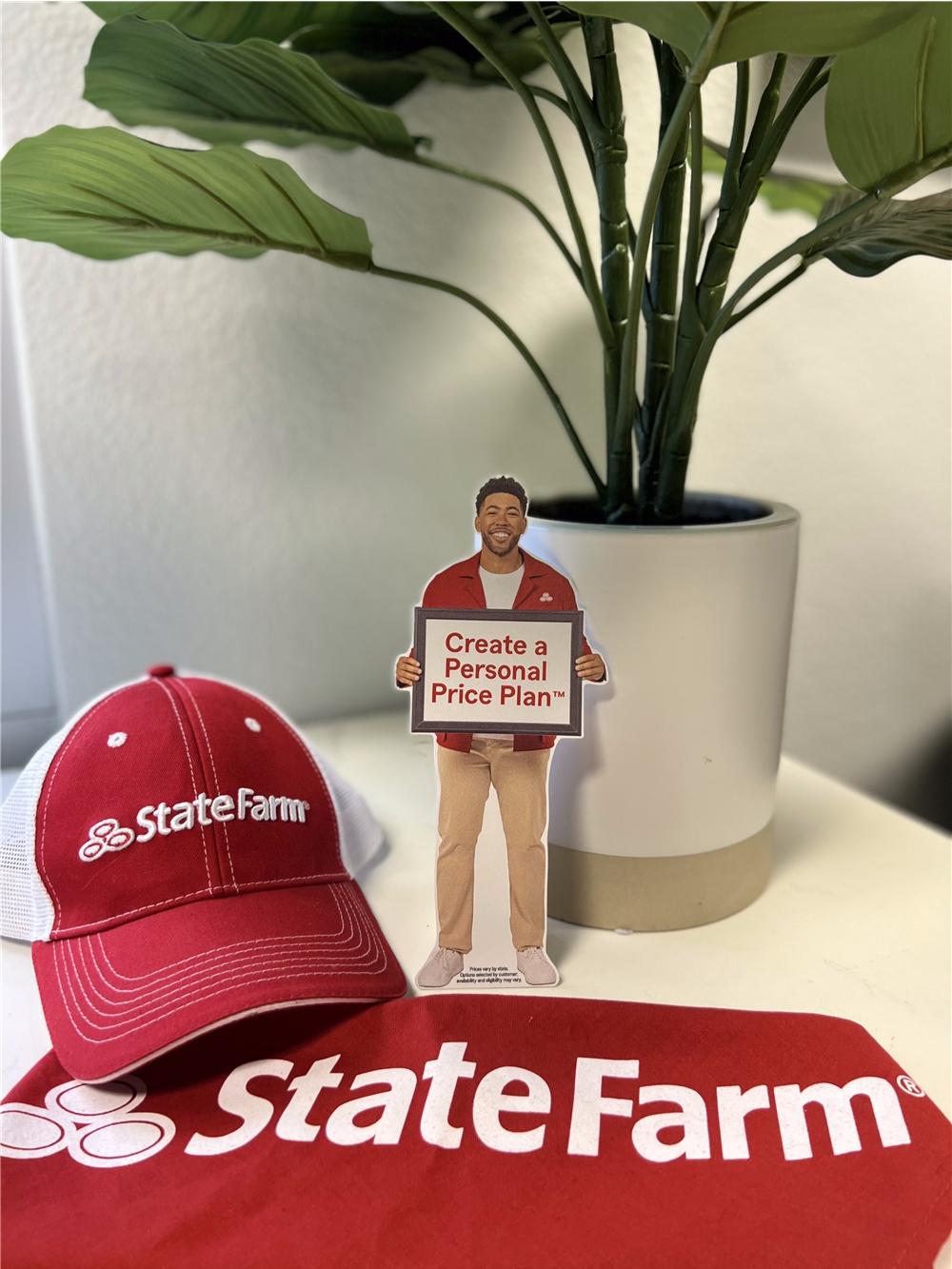 Dennis Havig - State Farm Insurance Agent