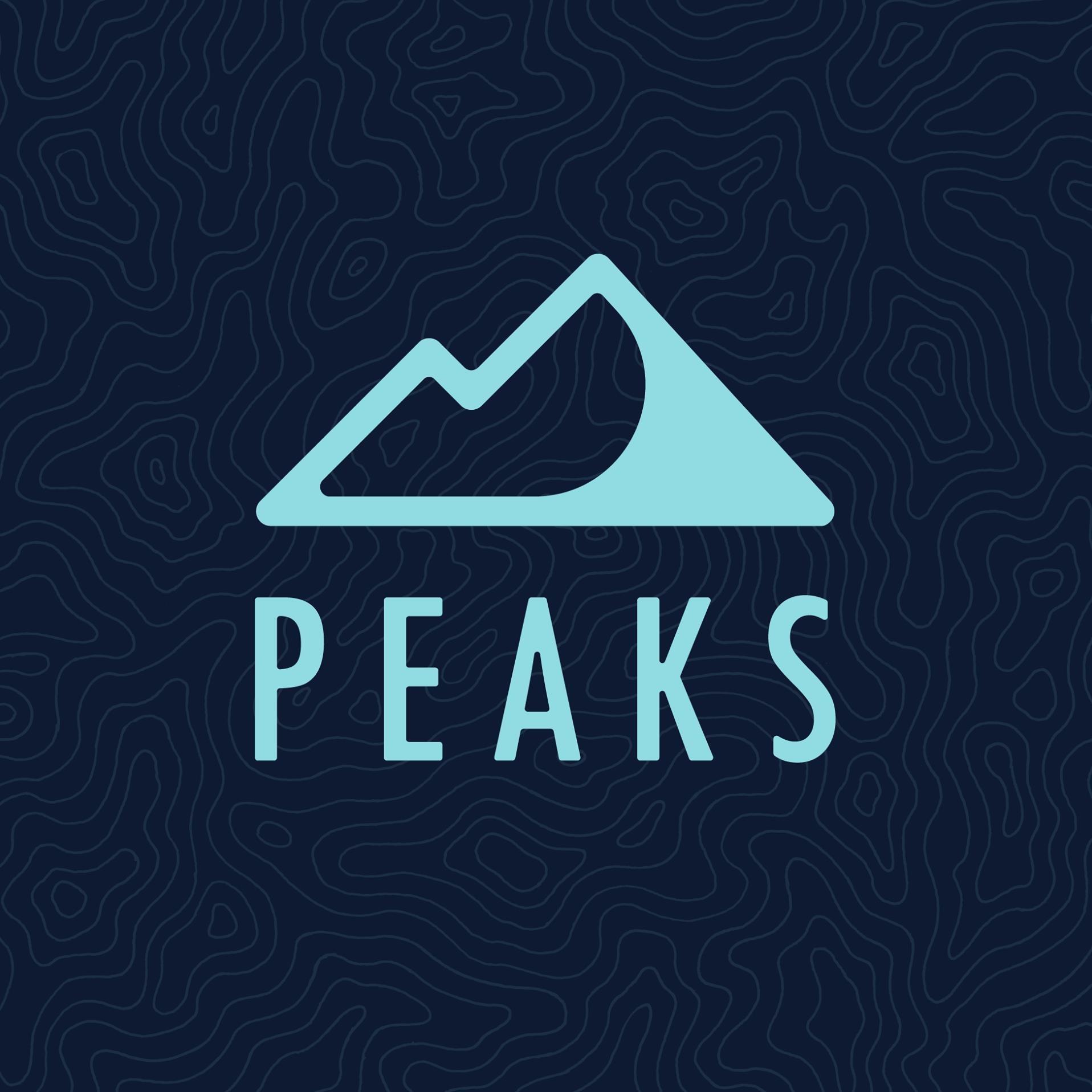 Peaks Digital Marketing