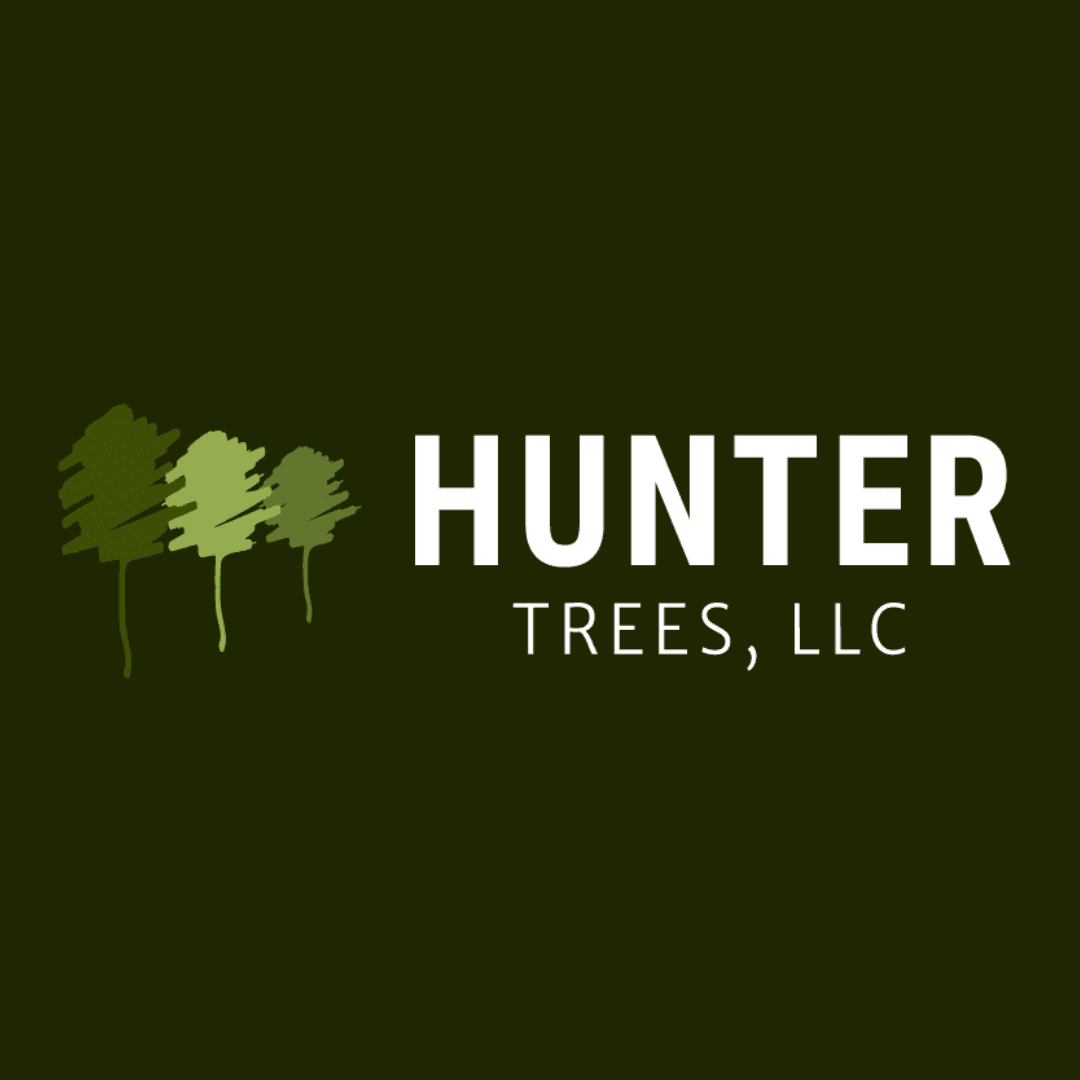 Hunter Trees