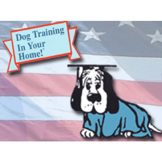 All American Dog Training Academy