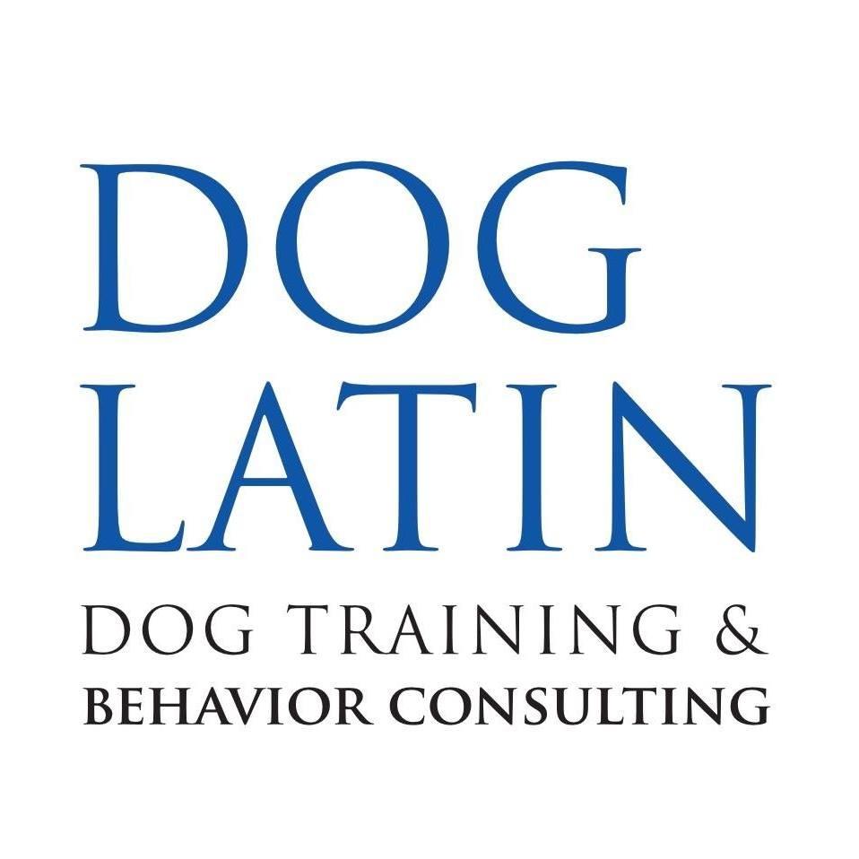 Dog Latin Dog Training & Behavior Consulting