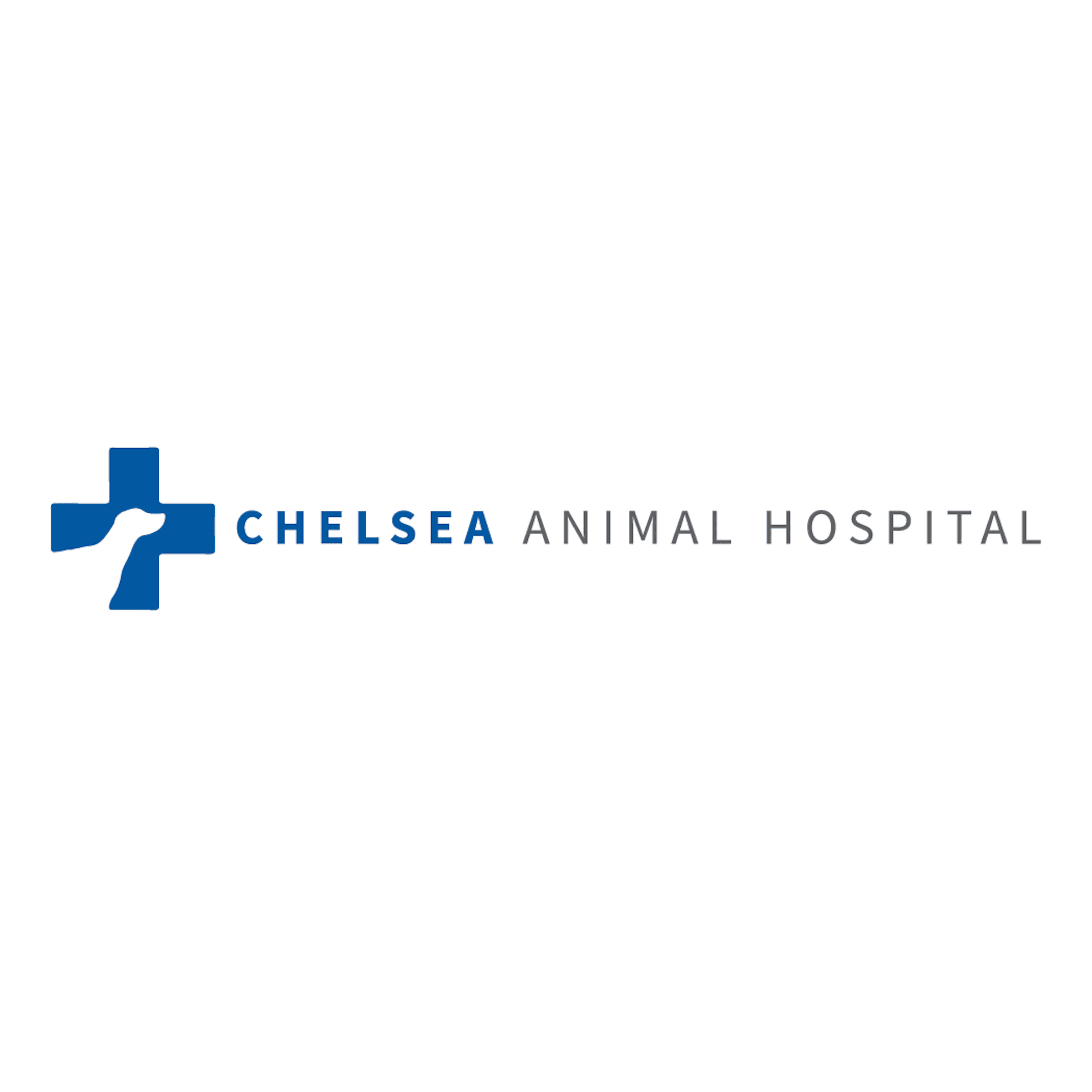 Chelsea Animal Hospital