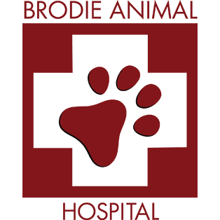 Brodie Animal Hospital