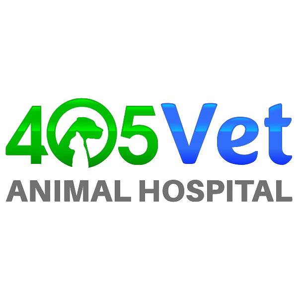 405 Vet Animal Hospital