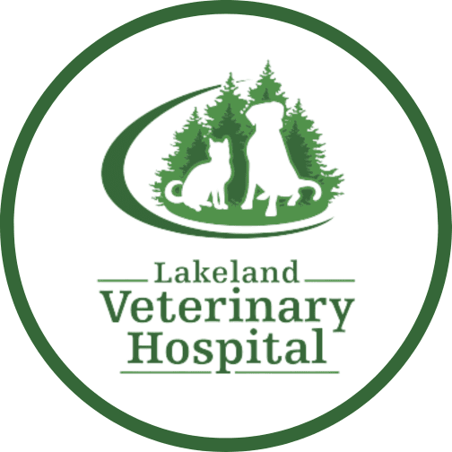 Lakeland Veterinary Hospital