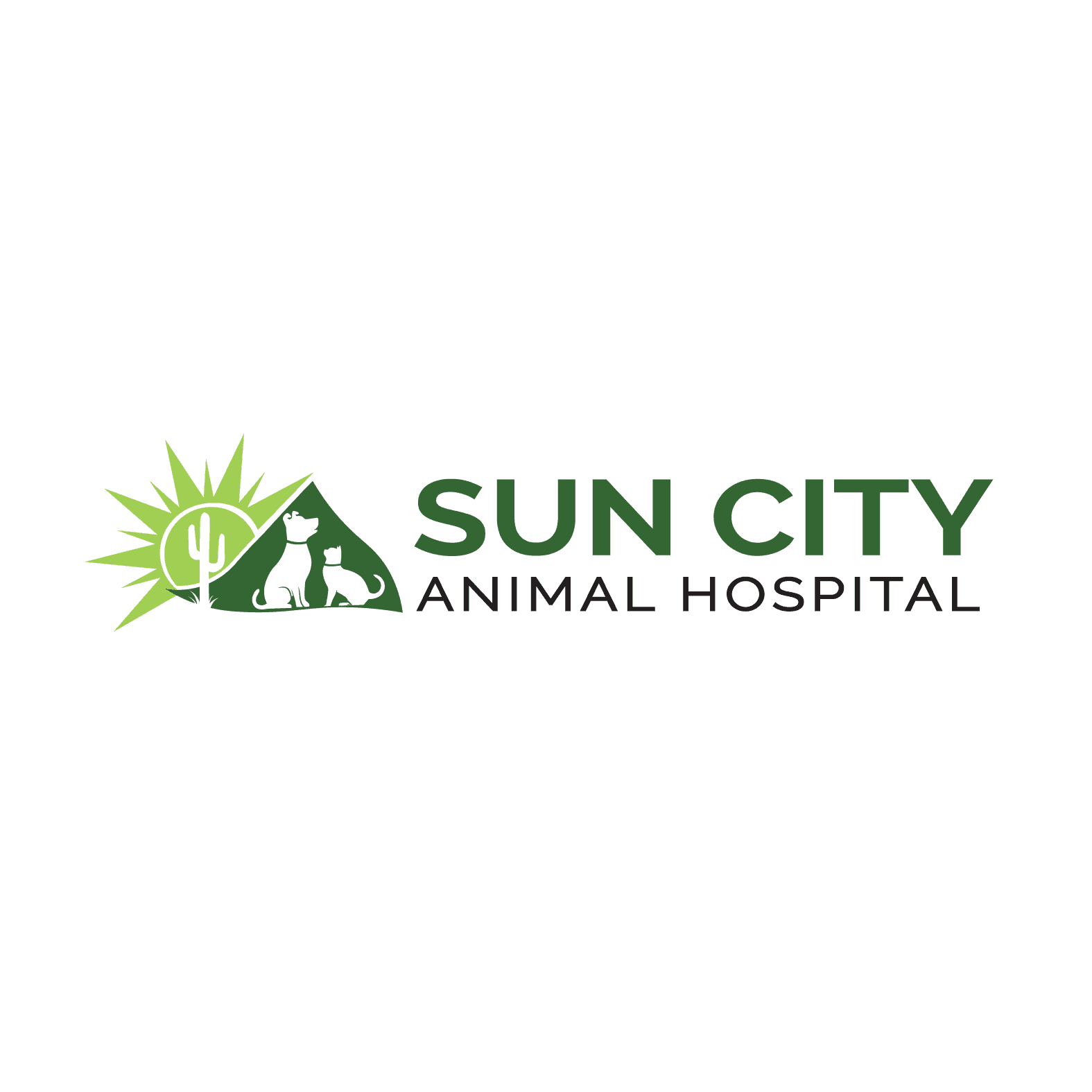 Sun City Animal Hospital