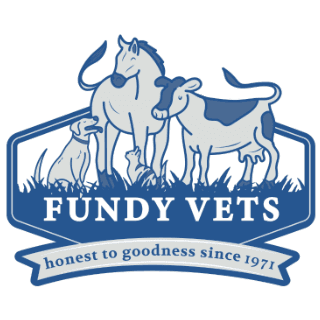 Fundy Veterinarians - Shubenacadie