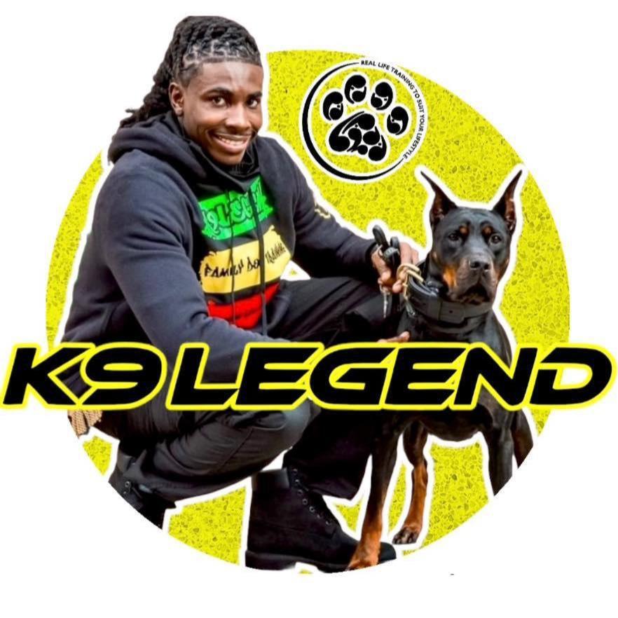 K9 Legend Family Dog Training & Aggression Rehabilitation