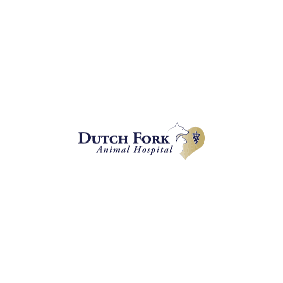 Dutch Fork Animal Hospital