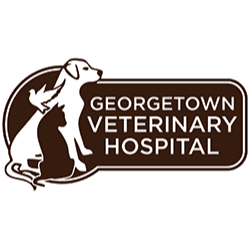 Georgetown Veterinary Hospital