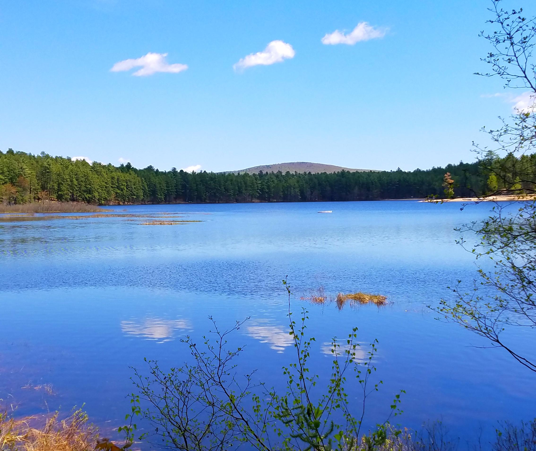 Chocorua KOA Holiday