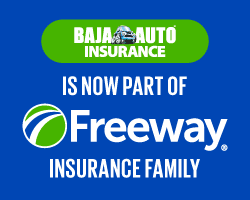 Freeway Insurance