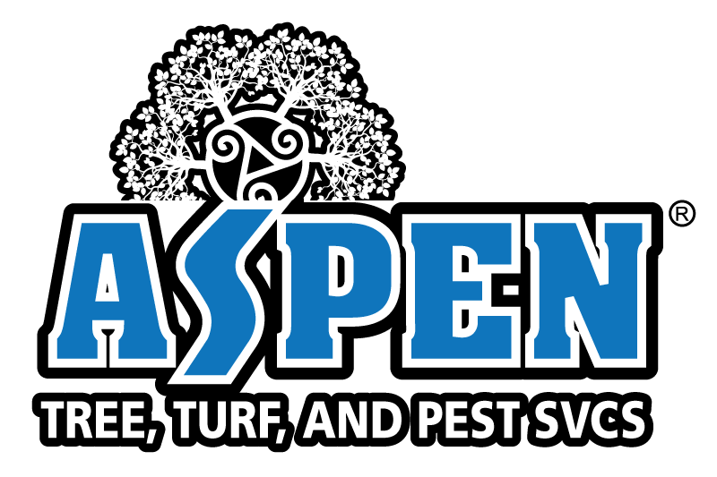 Aspen Services, Inc.