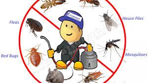 Pest Control Organic Near Me