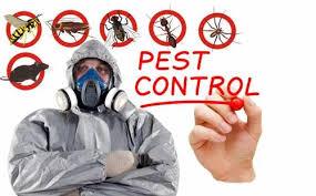 local pest control services near me