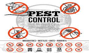 pest services near me