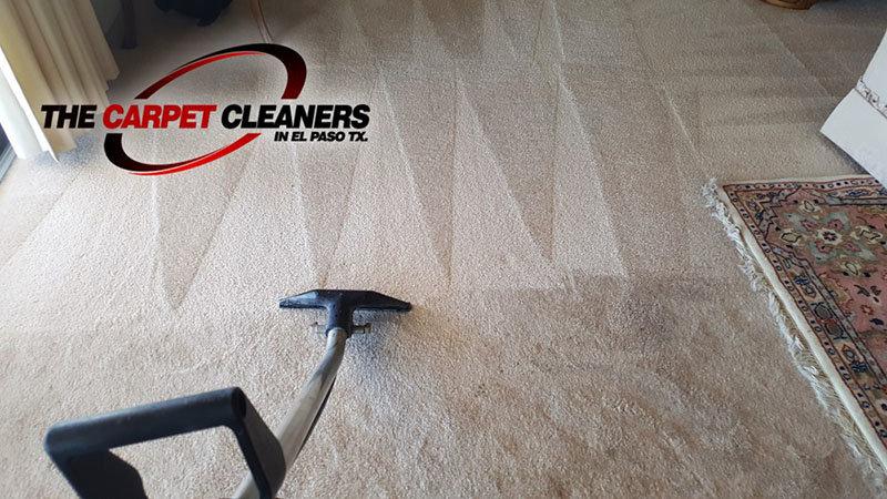 The Carpet Cleaners