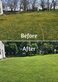 ExperiGreen Lawn Care